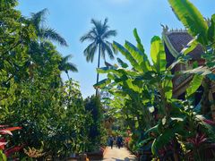 -西双版纳傣族园