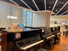 -知音艺术教育培训·钢琴培训·音乐培训(河西金鹰世界校区)