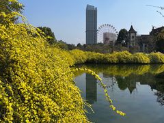 -成都南湖公园