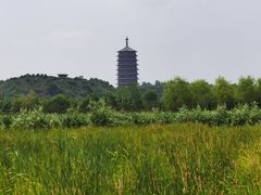 -永定河休闲森林公园