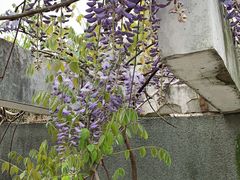 -沙市市中山公园