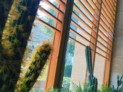 -阿斯牛牛·凉山菜(新会展店)