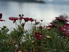 -泸沽湖国家级风景名胜区走婚桥