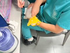 -小伙伴宠物医院•急重症转诊中心·老年专科·犬猫全科(北大街总院)