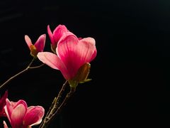 -荔湾湖公园