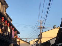 -赵天禄(葑门横街店)