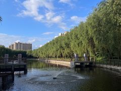 -长春公园(普阳街道)