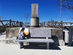 -百色大石围天坑群