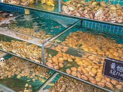 -北戴河庆山饭店·海鲜砂锅粥(北戴河黑石路店)