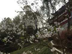 -中国花亭湖风景名胜区-西风禅寺