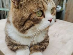 -小时光咖啡馆(北锣鼓巷店)