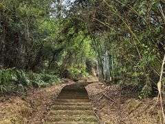 -林丰温泉度假山庄