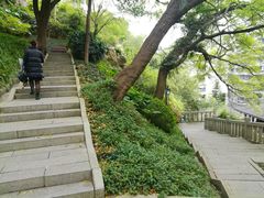 -乌山风景区