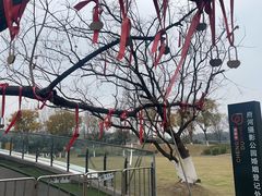 -府河摄影公园