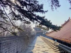 -沈阳市东陵公园