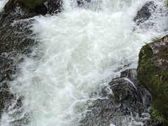 -龙苍沟森林公园