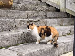 -贵阳北天主教堂