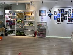 -中央芭蕾舞团·中芭艺蕾(酒仙桥明星校区)