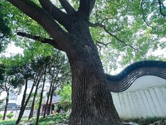 -松江清真寺