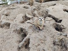 -鄂尔多斯野生动物园