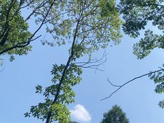 -锦屏山