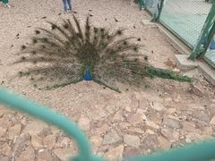 -南京金牛湖风景区