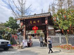 -青城甲(青城山店)