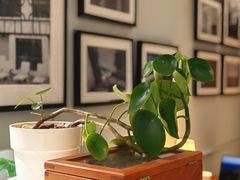 -一尺花园(安和花园店)