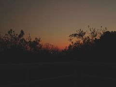 -浙江农林大学(东湖校区)