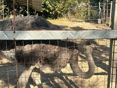 -新塘水果乐园(东洲大道店)