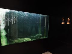 -夜上海(新天地店)