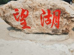 -望湖烤鱼