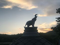 -清迈夜间动物园