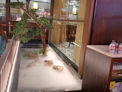 -味上湘菜馆(阿波罗店)