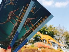 -自贡恐龙博物馆