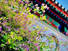 -香山公园
