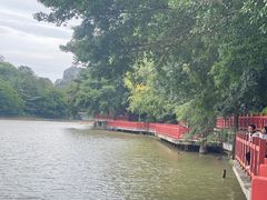 -桂林市榕杉湖景区