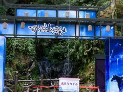 -刘伯温故里景区百丈漈