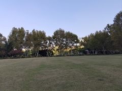 -中山公园