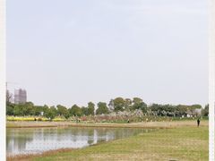 -滆湖低碳生态公园