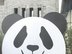-都江堰中华大熊猫苑
