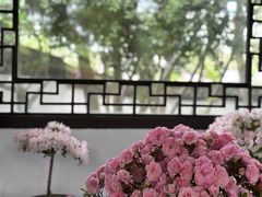 -上海醉白池公园