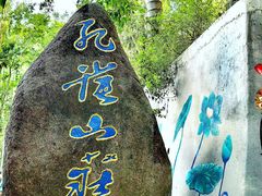 -西双版纳原始森林公园