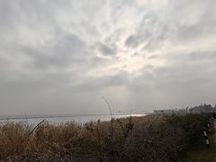 -贡湖湾湿地公园