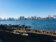 -台场海滨公园船码头