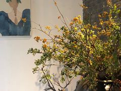 -曲廊院(东四十一条店)