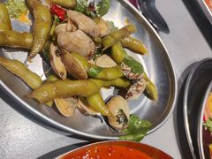 -高新活力汇Vitality