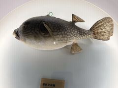 -陕西自然博物馆