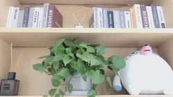 -WENDY·温迪皮肤管理