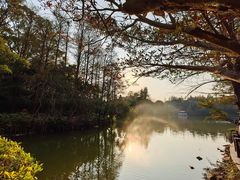 -深圳仙湖植物园